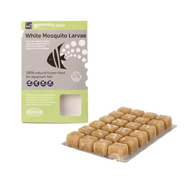 Gamma White Mosquito Larvae Blister 100g - Charterhouse Aquatics