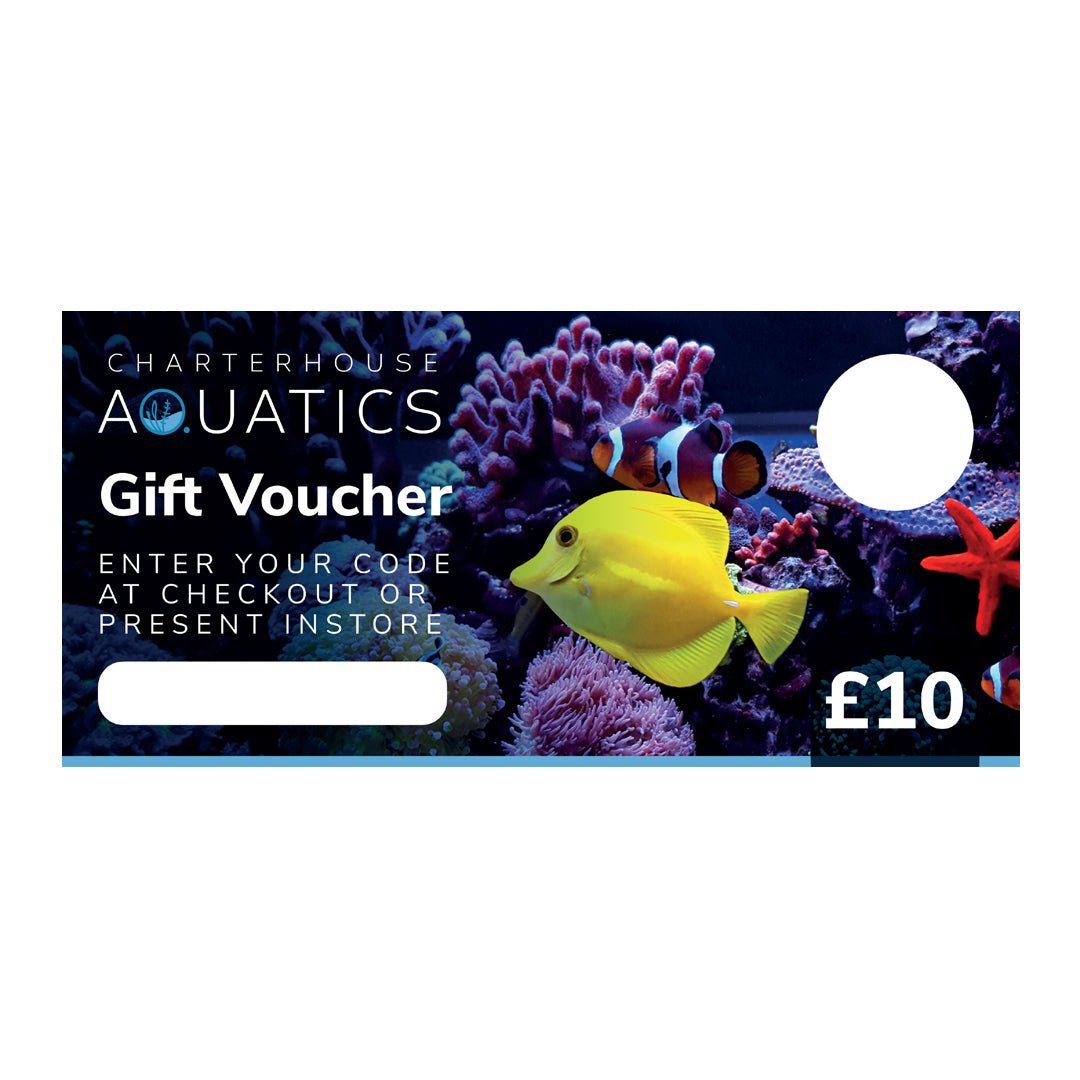 Gift Voucher for £10 - Charterhouse Aquatics