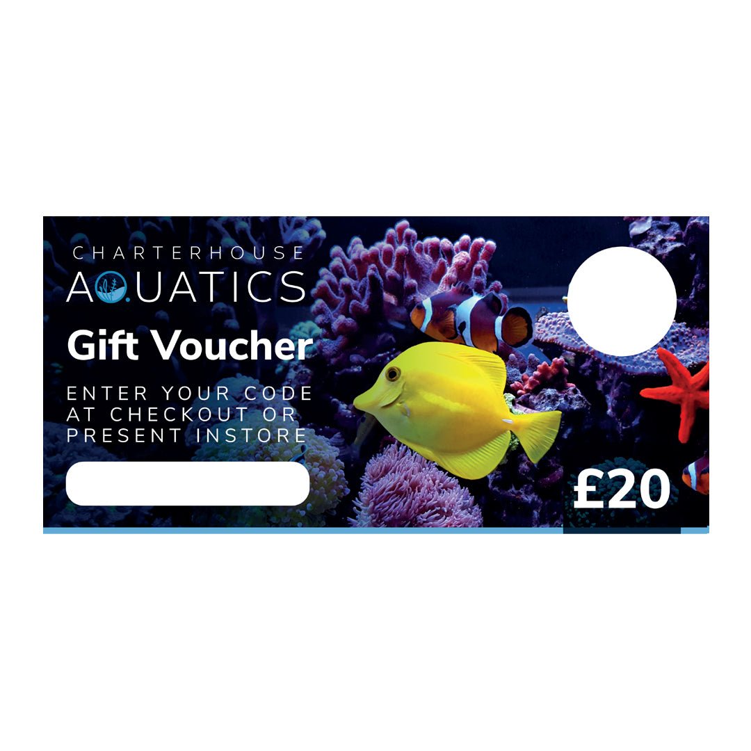 Gift Voucher for £20 - Charterhouse Aquatics