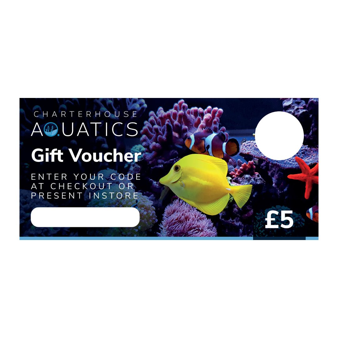 Gift Voucher for £5 - Charterhouse Aquatics