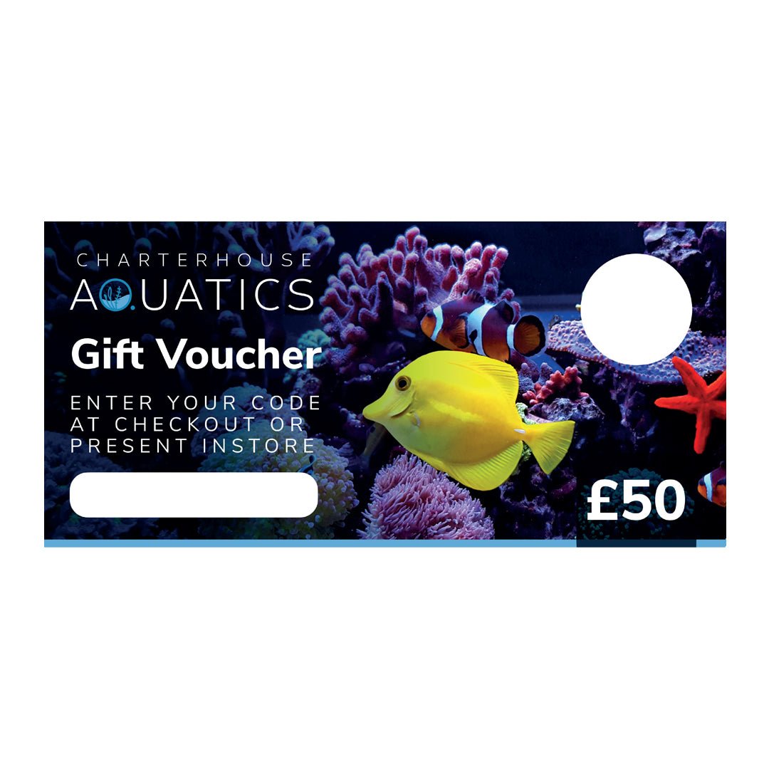 Gift Voucher for £50 - Charterhouse Aquatics
