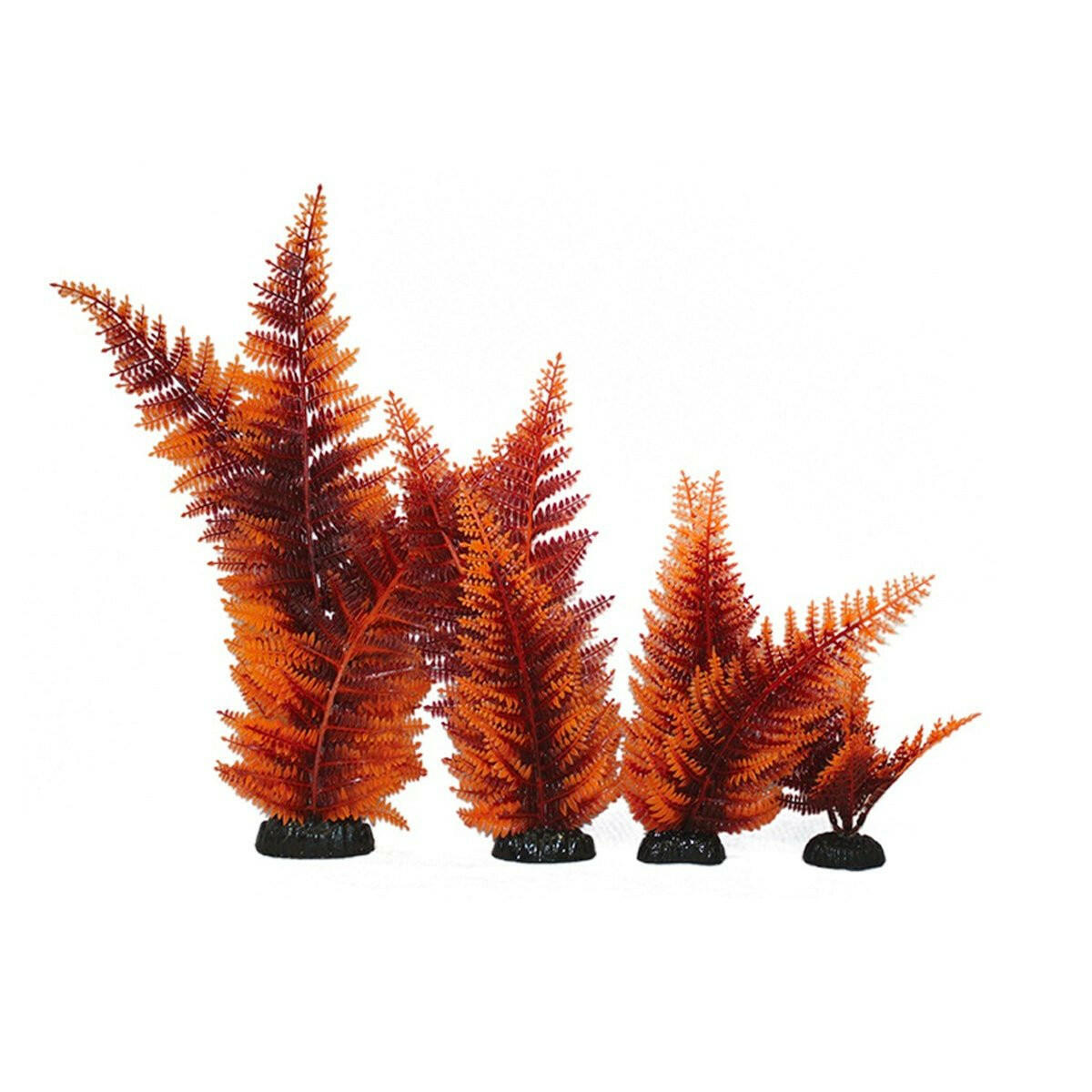 Hugo Kamishi Broad Leaf Fern Red 13cm - Charterhouse Aquatics