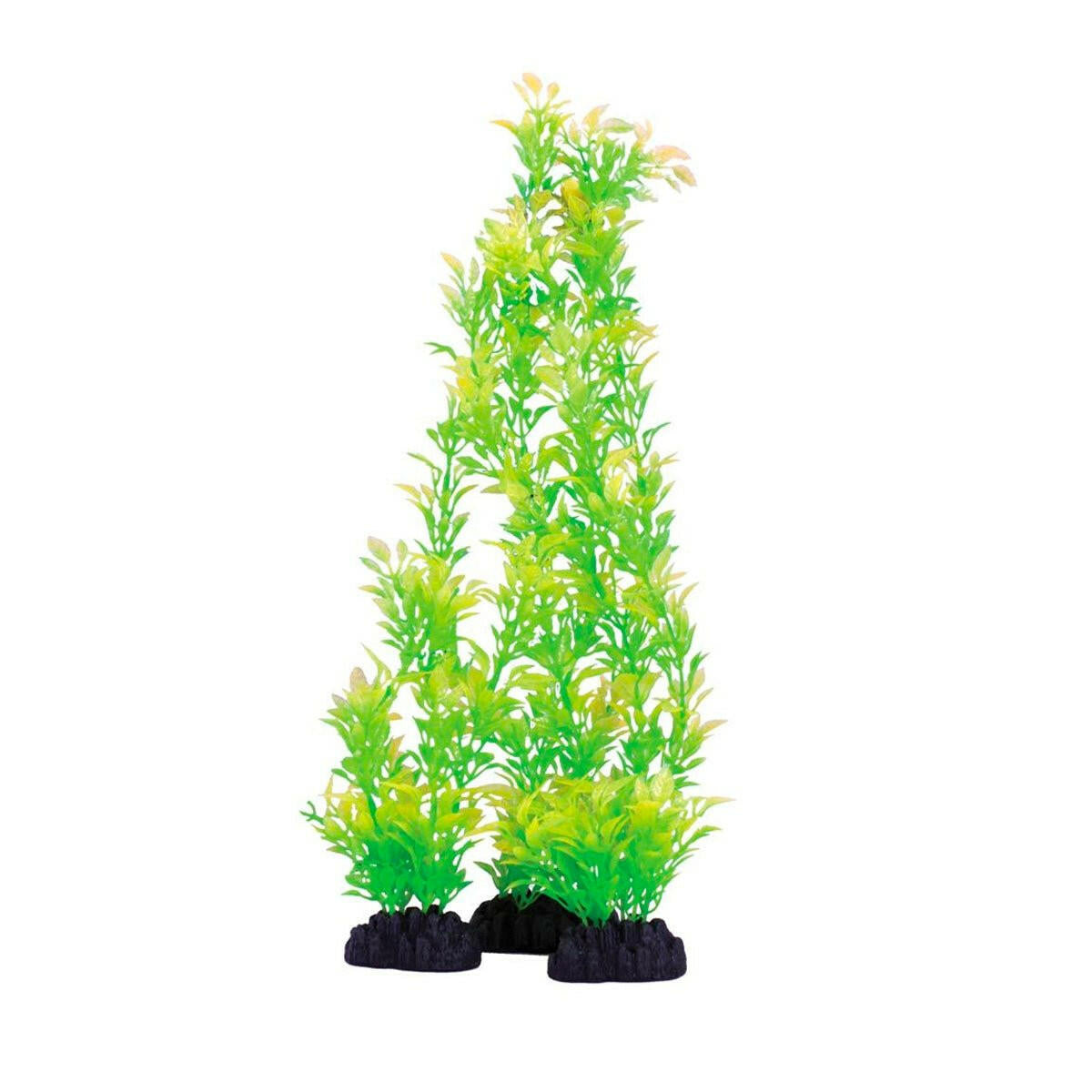 Hugo Kamishi Rose Leaf 13cm - Charterhouse Aquatics