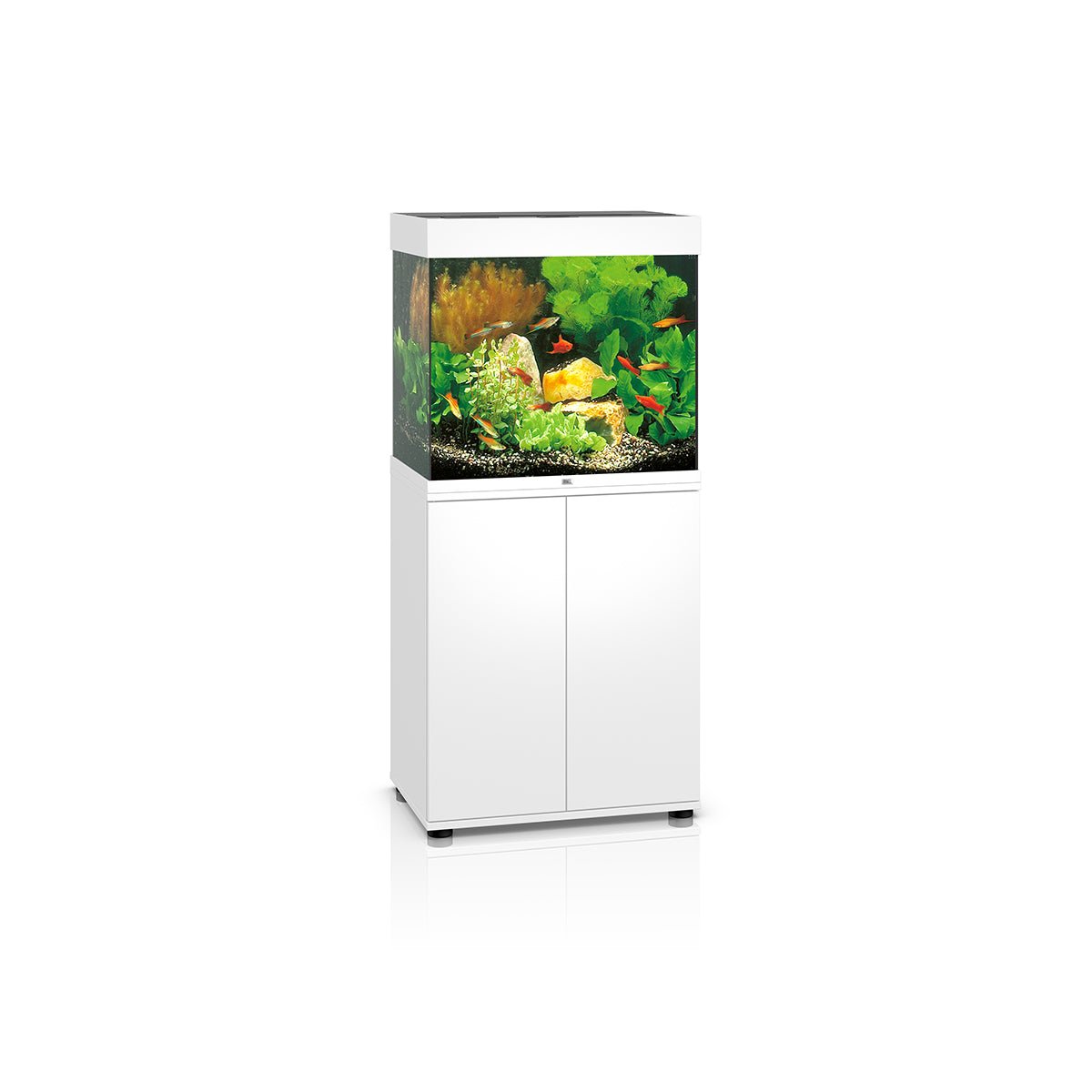 Juwel Lido 120 LED Aquarium and Cabinet (White) - Charterhouse Aquatics