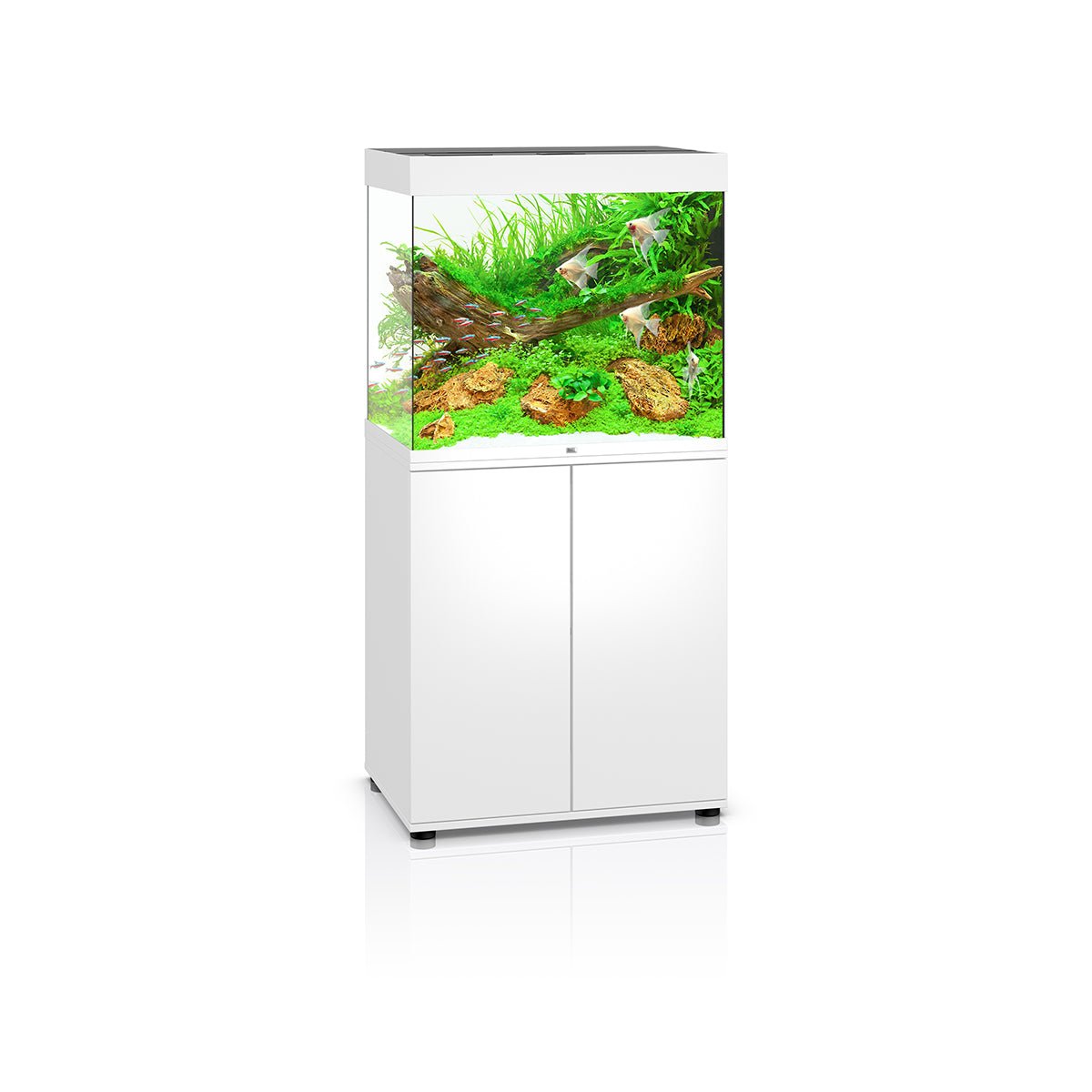 Juwel Lido 200 LED Aquarium and Cabinet (White) - Charterhouse Aquatics