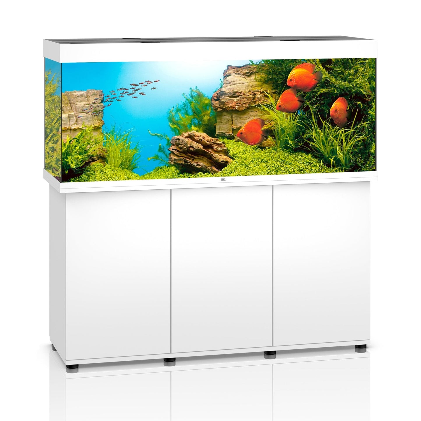 Juwel Rio 450 LED Aquarium And Cabinet (White) - Charterhouse Aquatics
