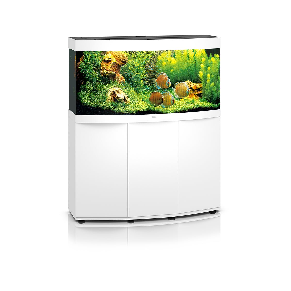 Juwel Vision 260 LED Aquarium and Cabinet (White) - Charterhouse Aquatics