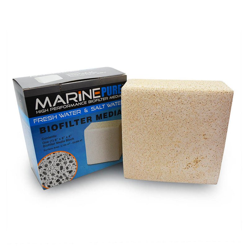 Marine Pure Biological Media - Block (8 x 8 x 4 Inches) - Charterhouse Aquatics