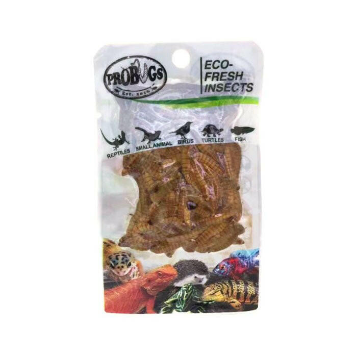 ProBugs Eco Fresh Mealworms 20g - 10 Packs - Charterhouse Aquatics