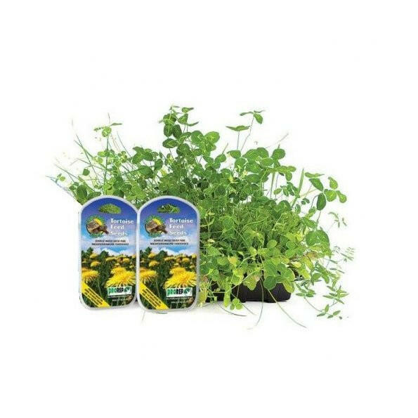 tortoise plant seeds ProRep Tortoise Feed Seeds 20g – Charterhouse Aquatics