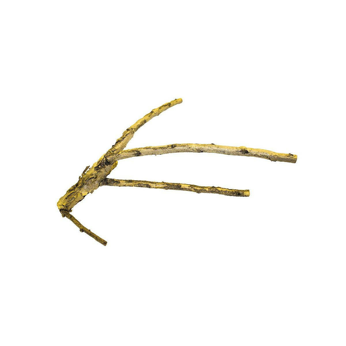 ProRep White Acacia Branch Large - Charterhouse Aquatics