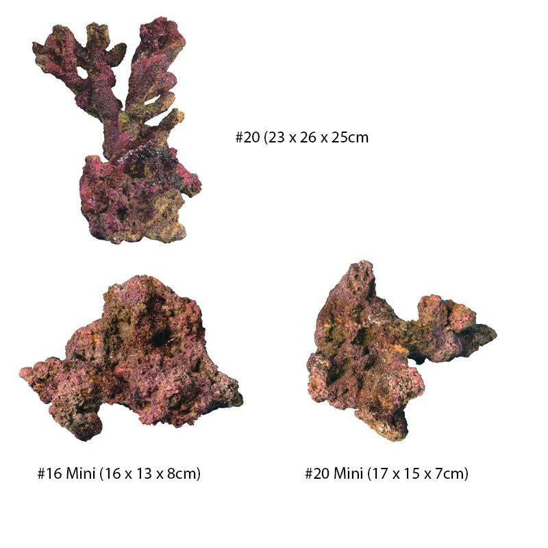 TMC EcoReef Rock Branch - Mixed Box E - Charterhouse Aquatics