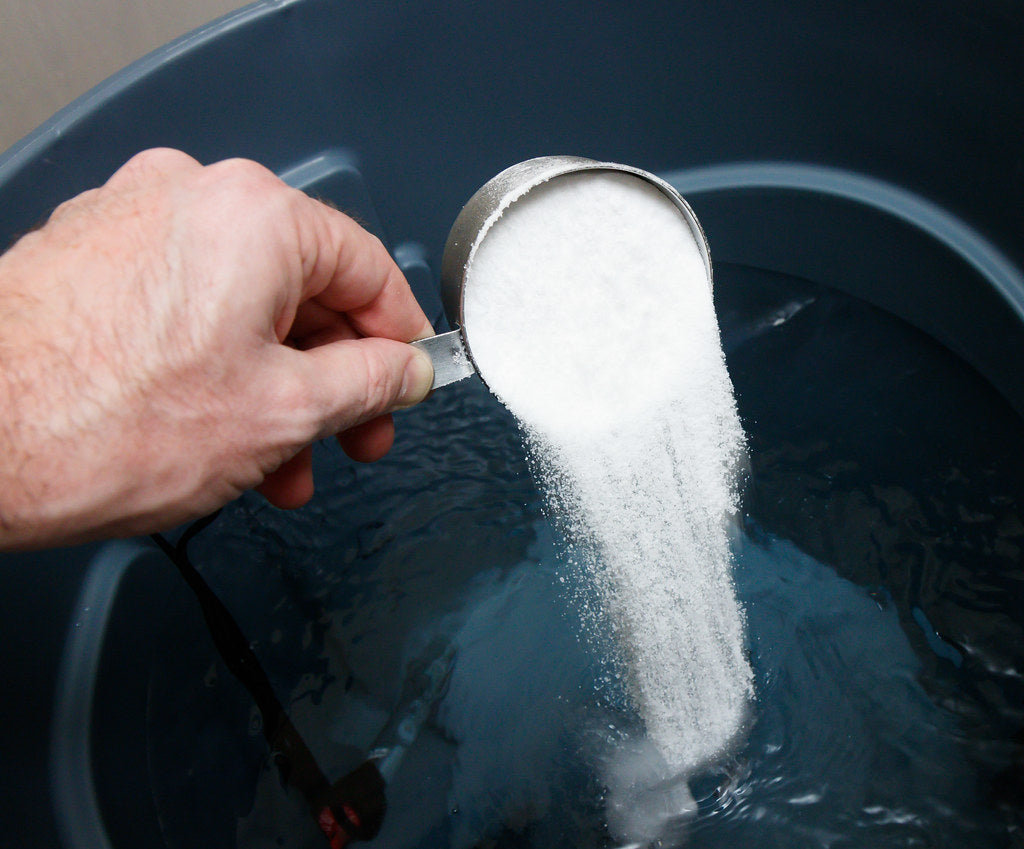 How to Mix Reef Salt Correctly for Your Aquarium