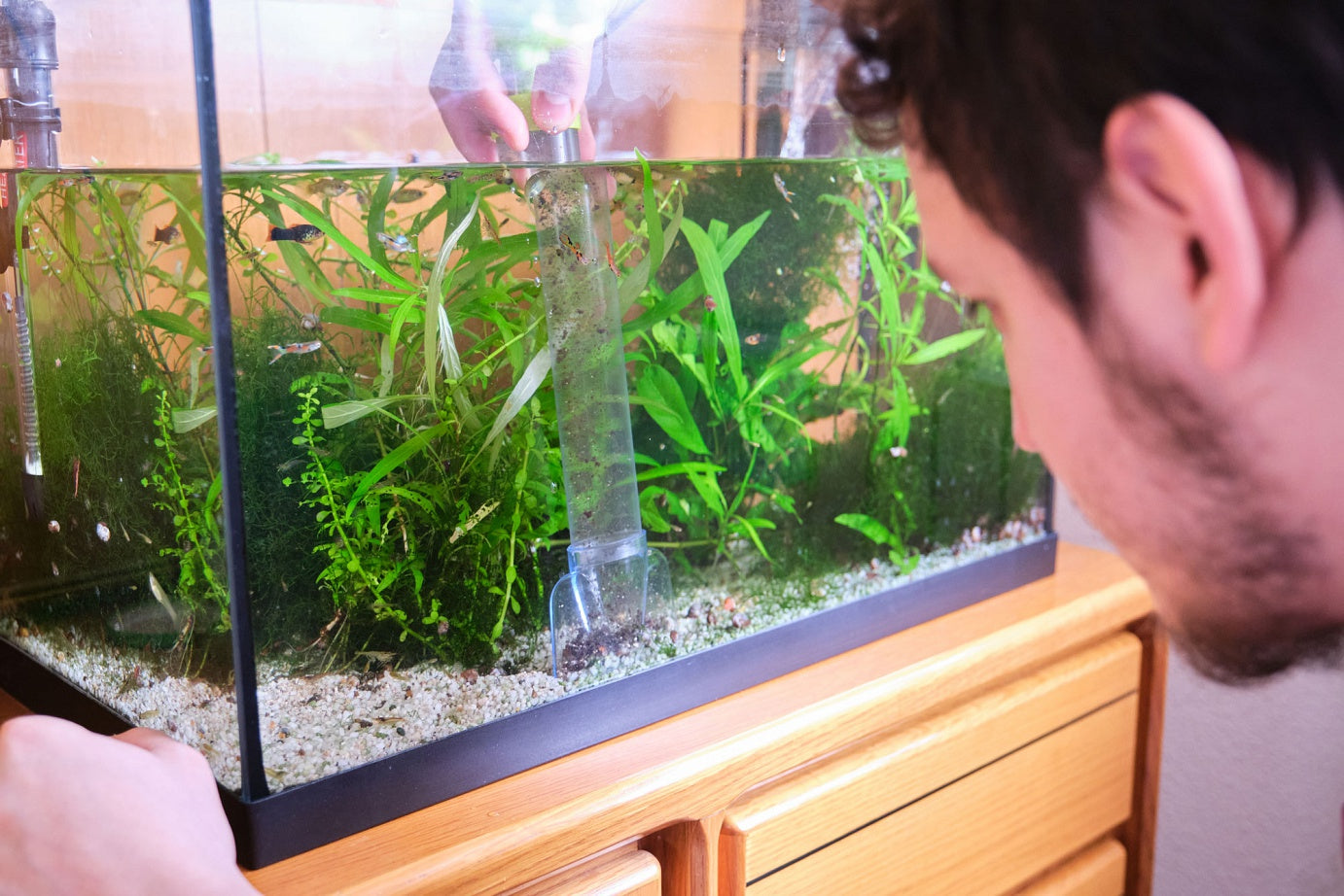 Aquarium Tips: Advice on water changes