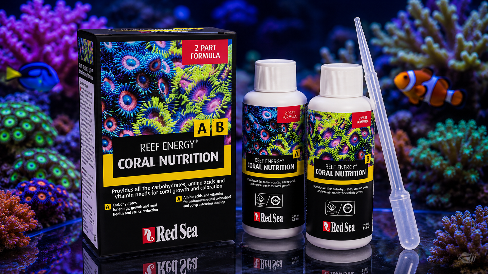 A Beginner’s Guide to Red Sea’s Coral Nutrition A & B