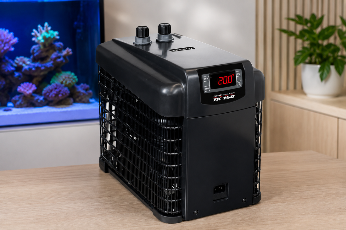 Aquarium Chillers Explained: A Comprehensive Guide to Controlling Heat in Your Aquarium