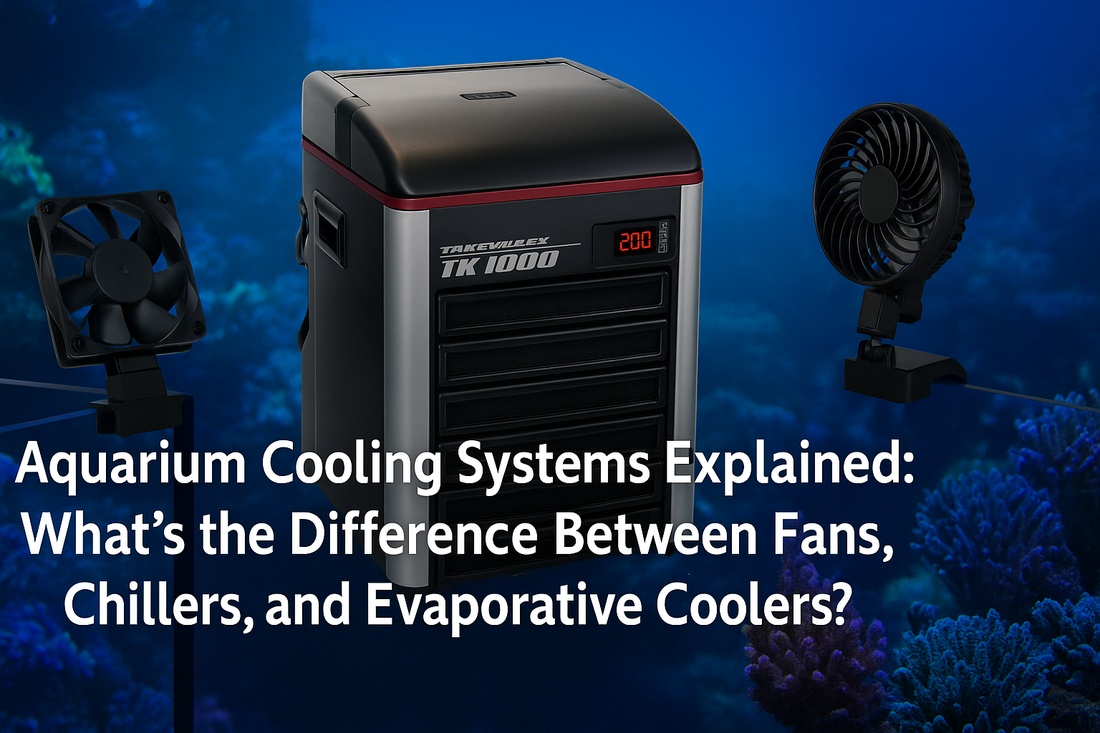 Aquarium Cooling Systems Explained: What’s the Difference Between Fans, Chillers, and Evaporative Coolers?