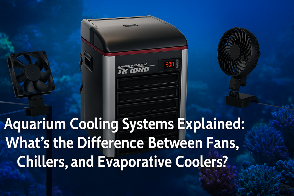 Aquarium Cooling Systems Explained: What’s the Difference Between Fans, Chillers, and Evaporative Coolers?