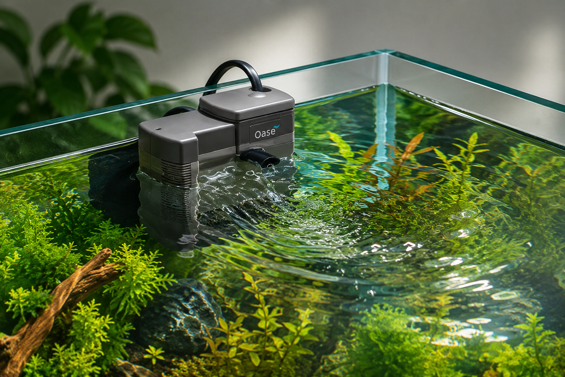 Aquarium Filters Explained: Which Aquarium Filter Is Right for You?