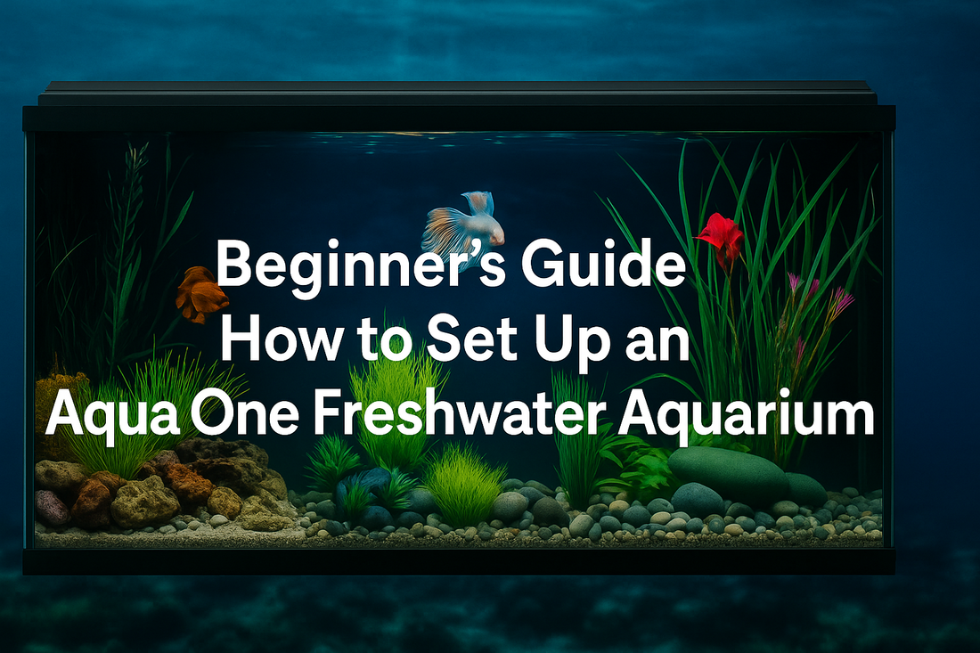 Beginner’s Guide: How to Set Up an Aqua One Freshwater Aquarium