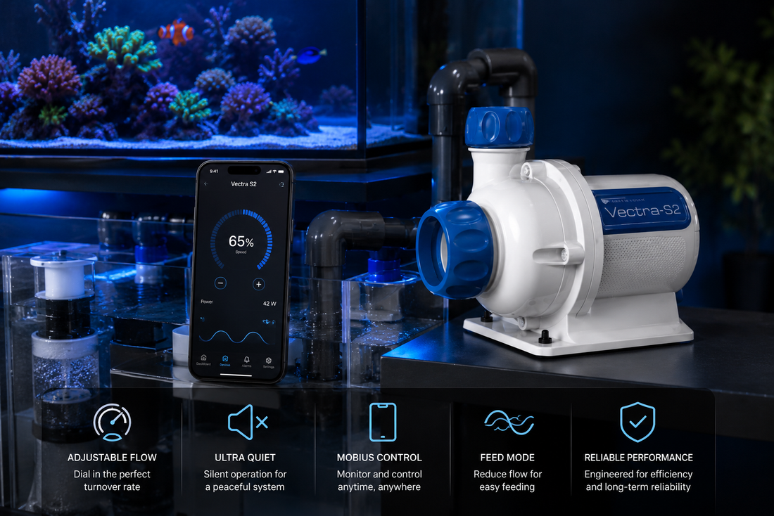 Best Flow Settings for EcoTech Vectra Return Pumps