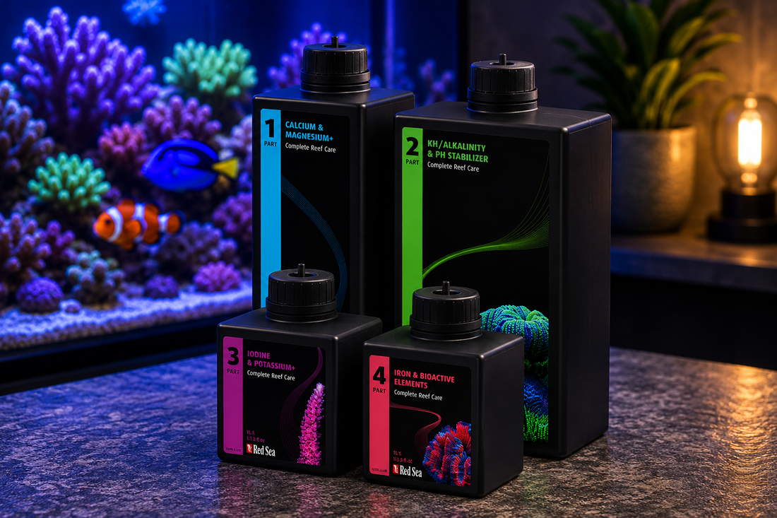 Chemical Filtration Media Explained: Enhancing Water Quality in Your Reef Tank