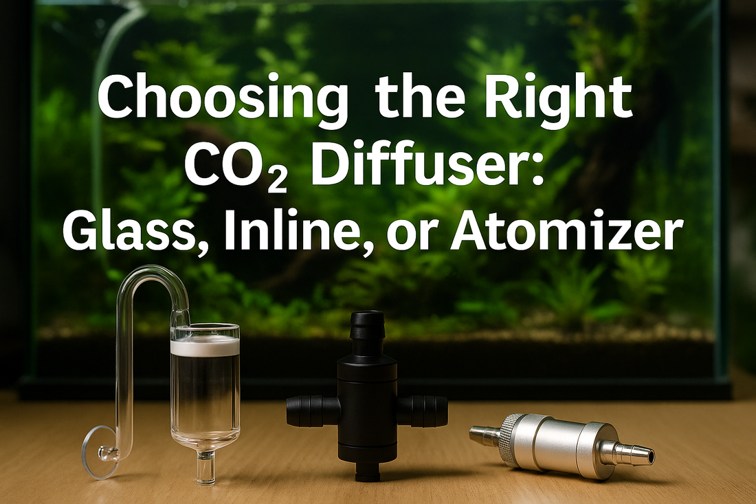 Choosing the Right CO₂ Diffuser: Glass, Inline, or Atomizer ...
