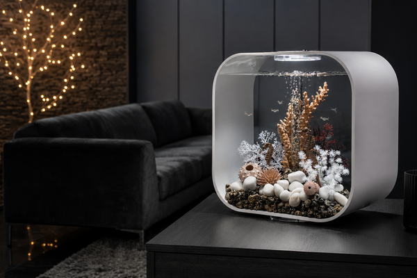 Discover the Awesome BiOrb Aquarium Range: A Guide to Stylish and Easy Fishkeeping
