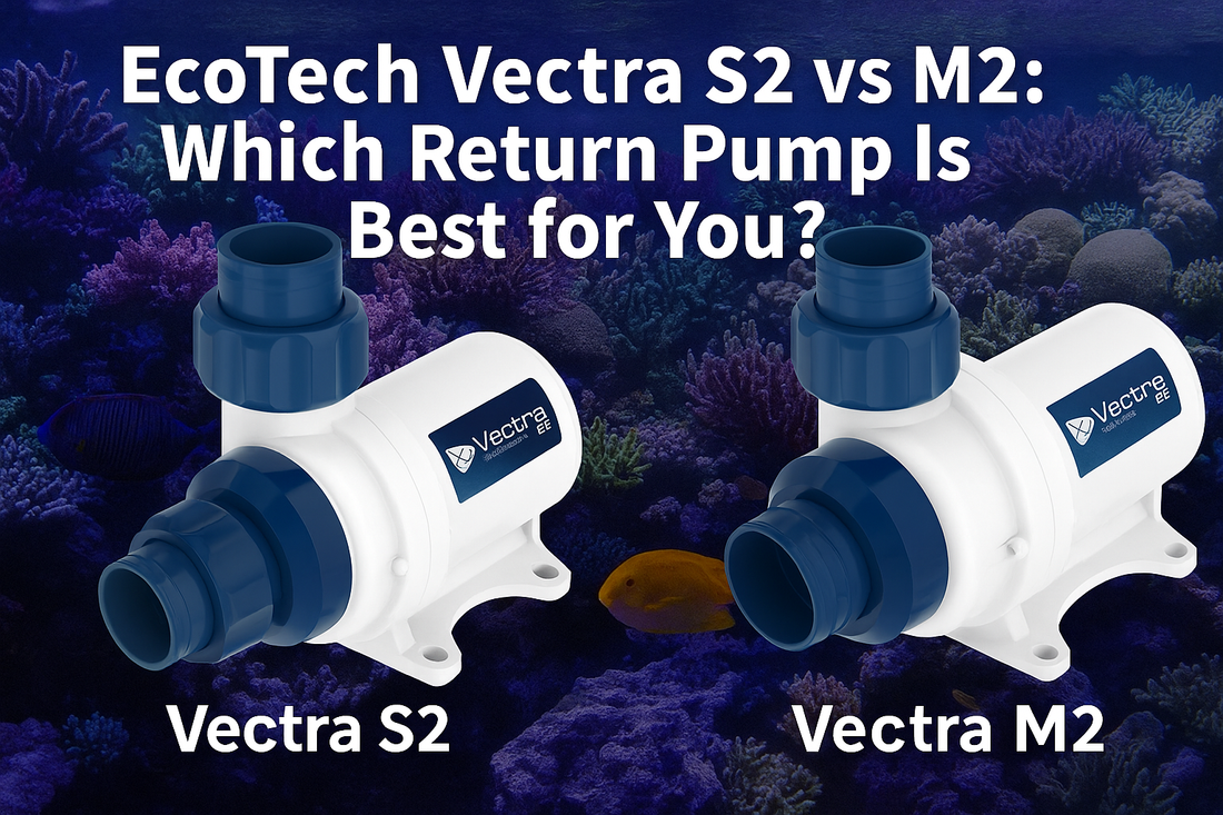 EcoTech Vectra S2 vs M2 vs L2: Which Pump Is Right for You?