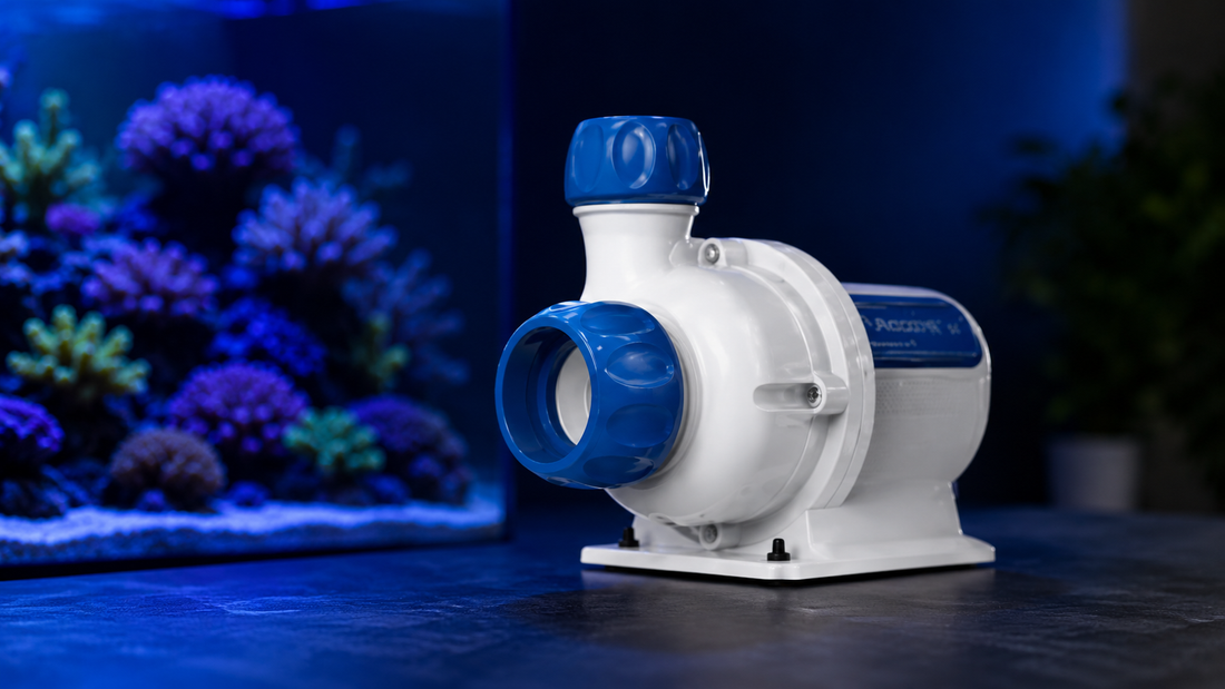 EcoTech Vectra Setup Guide: How to Install & Calibrate Your Return Pump