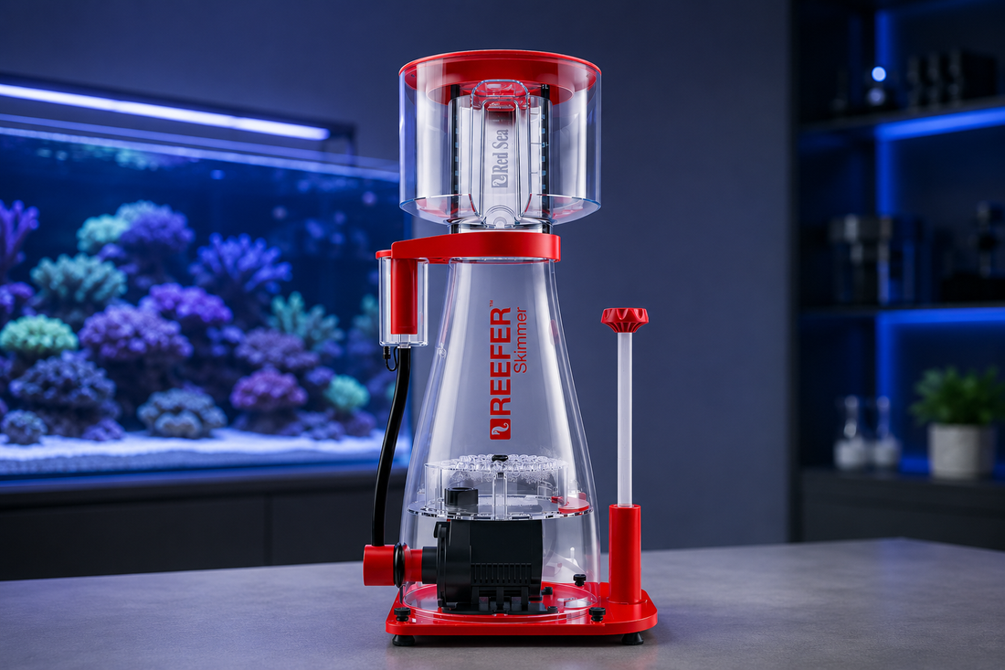 Features: How an Aquarium Protein Skimmer Can Benefit Your Tank