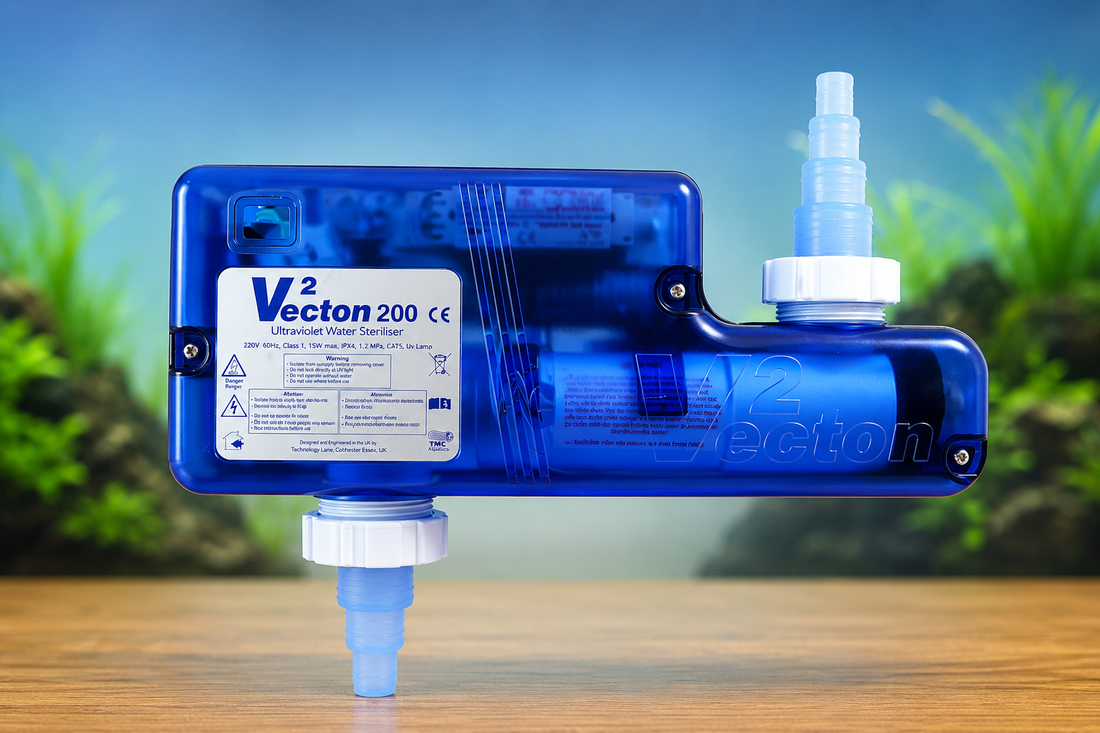Features: How an aquarium UV steriliser can benefit your tank