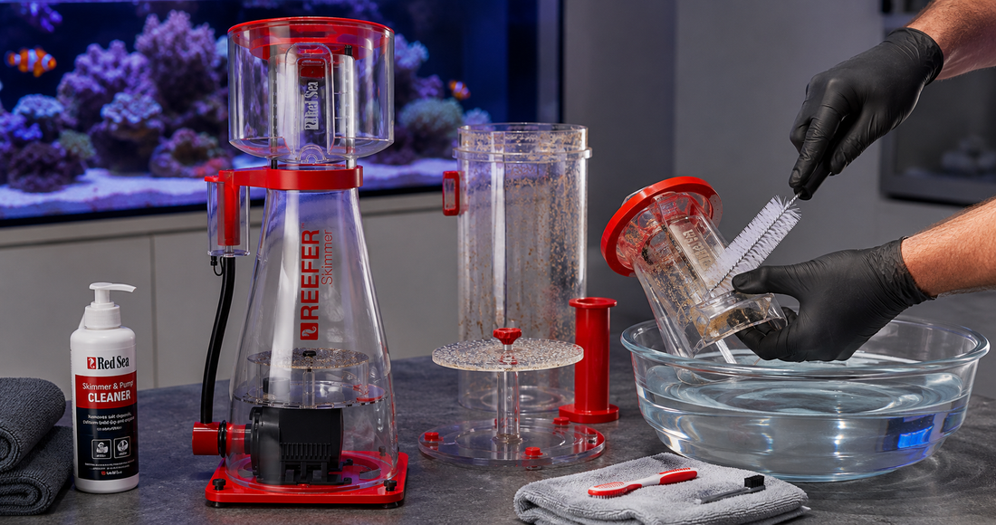 How Often Should You Clean Your Protein Skimmer and Why It Matters