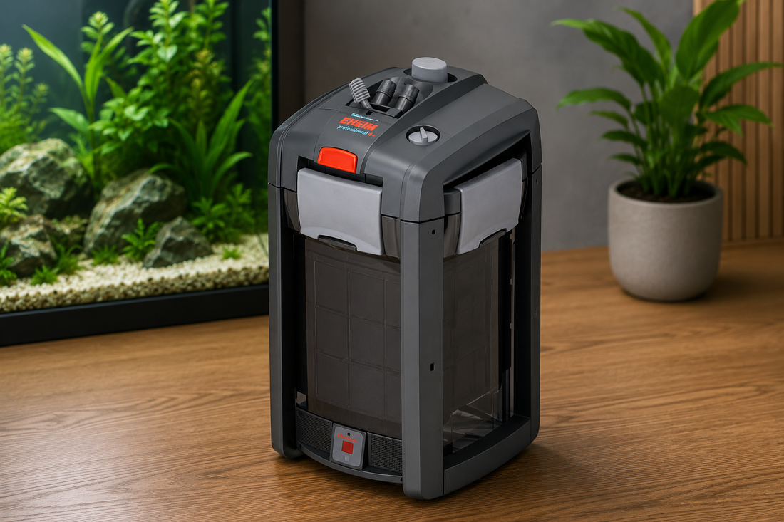 How to Choose an External Filter for Your Aquarium