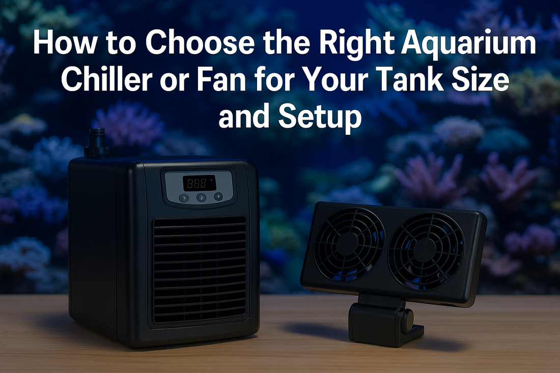 Coral bleaching comparison chiller vs fan cooling