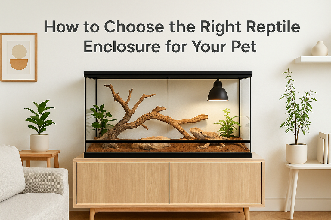 How to Choose the Right Reptile Enclosure for Your Pet
