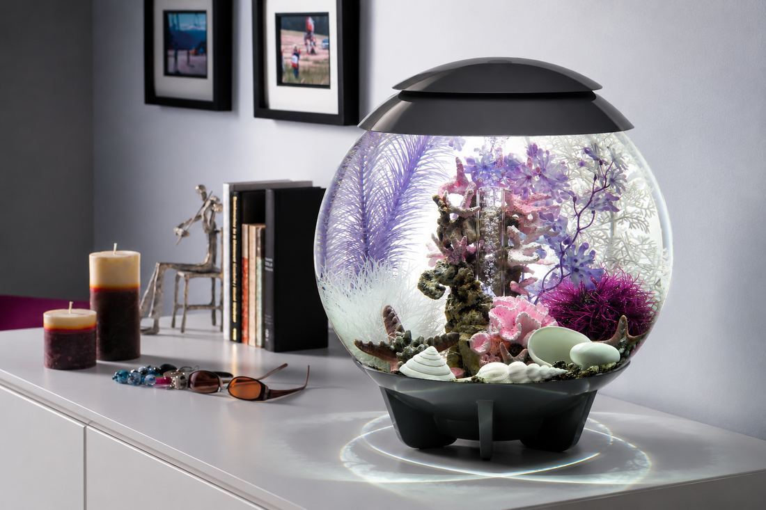 How to Choose the Right biOrb Décor Kit for Your Aquarium Size and Style