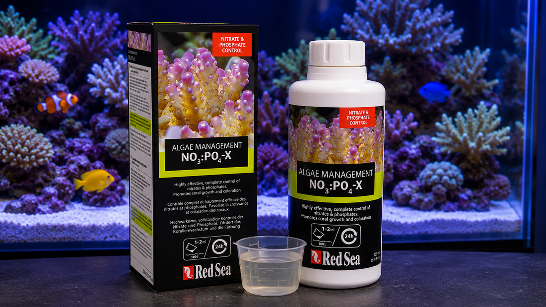 How to Reduce Nitrates and Phosphates in Your Reef Tank with Red Sea
