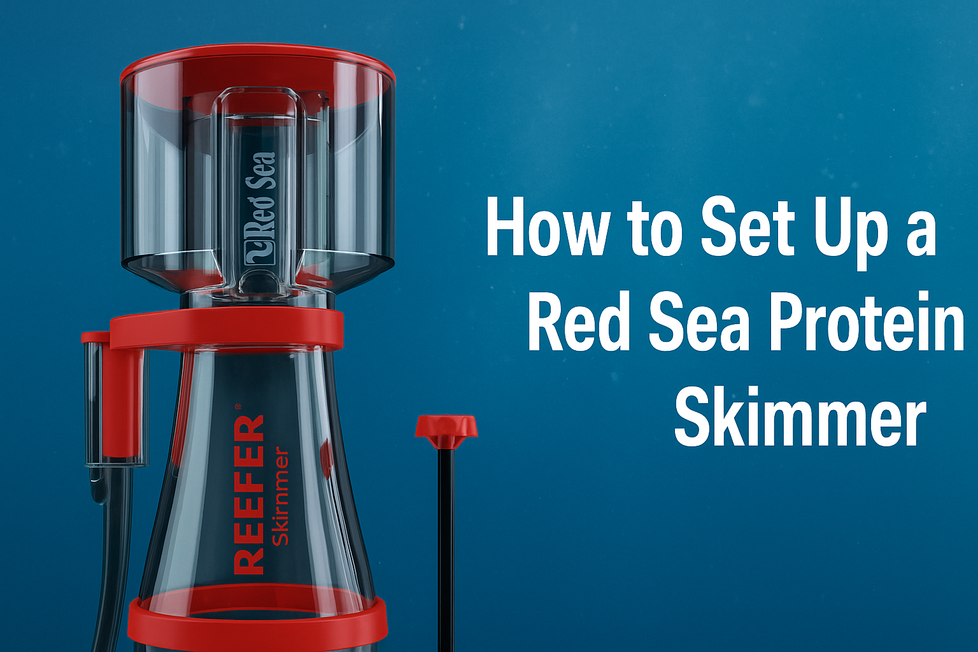 How to Set Up and Tune Your Red Sea Protein Skimmer for Maximum Efficiency