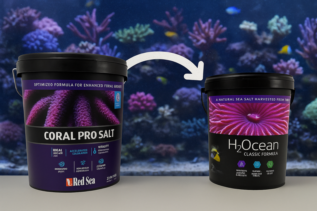 How to Switch Marine Salt Brands Safely (Without Crashing Your Tank)