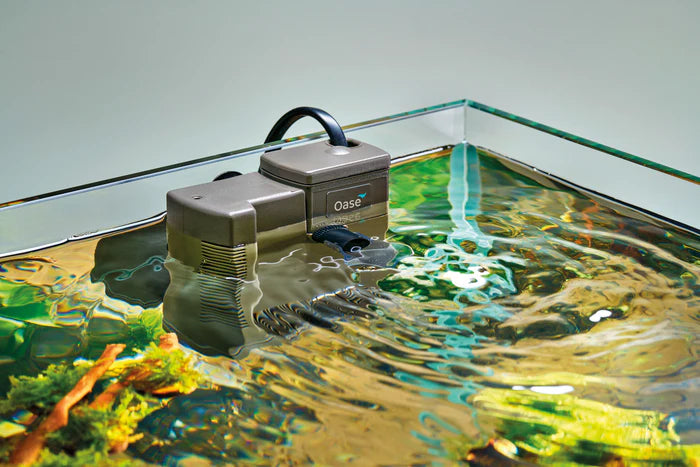 Aquarium Filters: Which One Should You Choose? – Charterhouse Aquatics