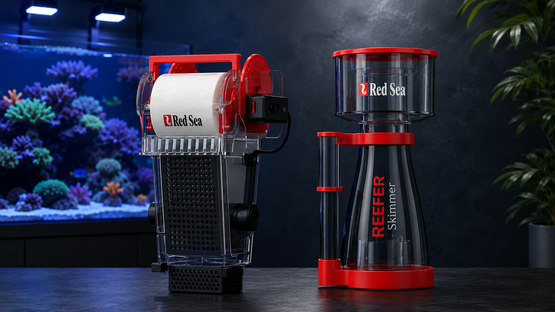 Red Sea Filtration Tips for Achieving Ultra-Low Nutrient Levels (ULNS)