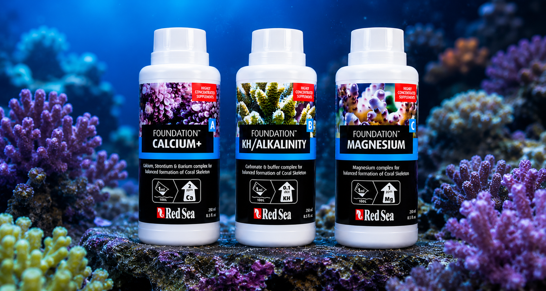 Red Sea Foundation Supplements: Why Calcium, Alkalinity, and Magnesium Matter