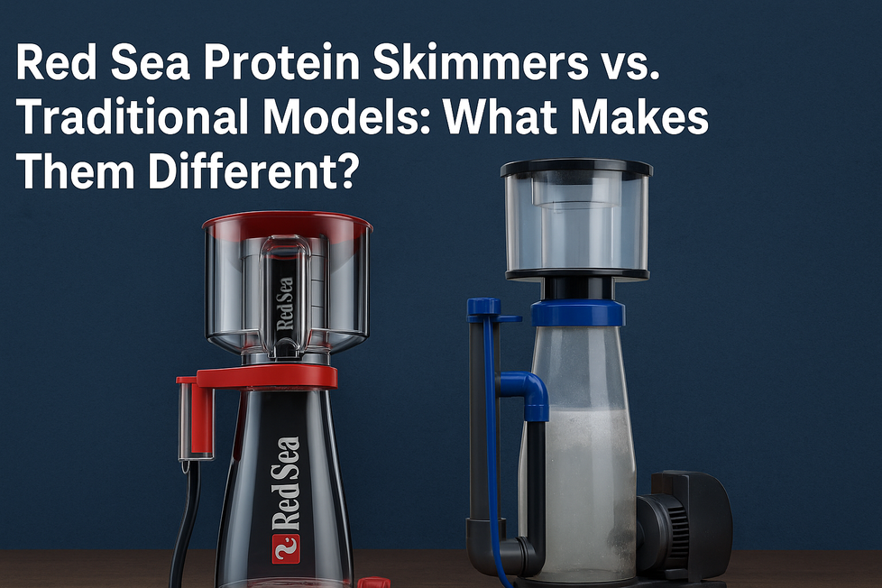 Red Sea Protein Skimmers vs. Traditional Models: What Makes Them Different?