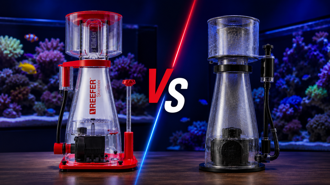 Red Sea Protein Skimmers vs. Traditional Models: What Makes Them Different?
