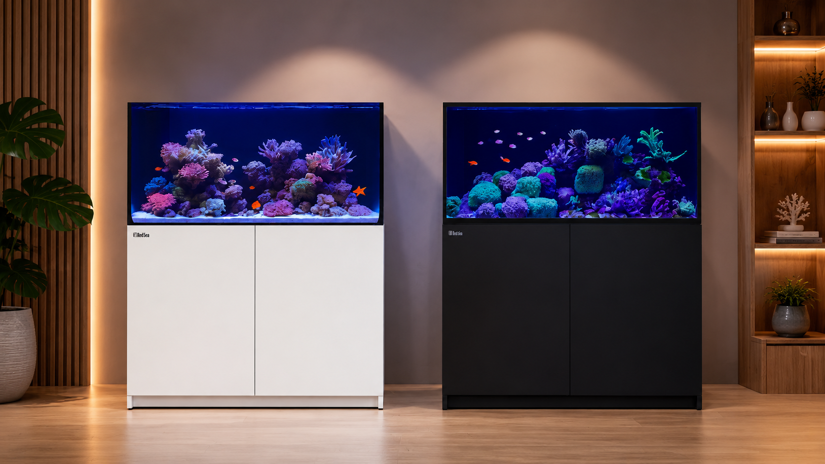 Red Sea Reefer vs. Max Series: Which Aquarium Is Right for You?