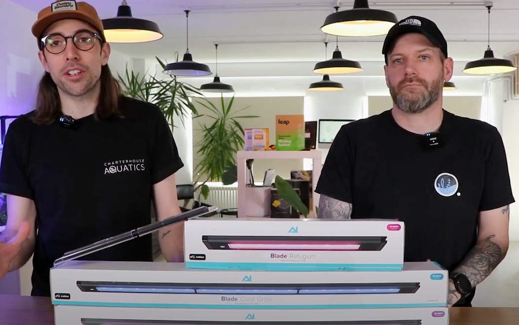 Blade Led Light Strip Lights are BACK! Introducing the new AI Blade LEDs - Charterhouse ...