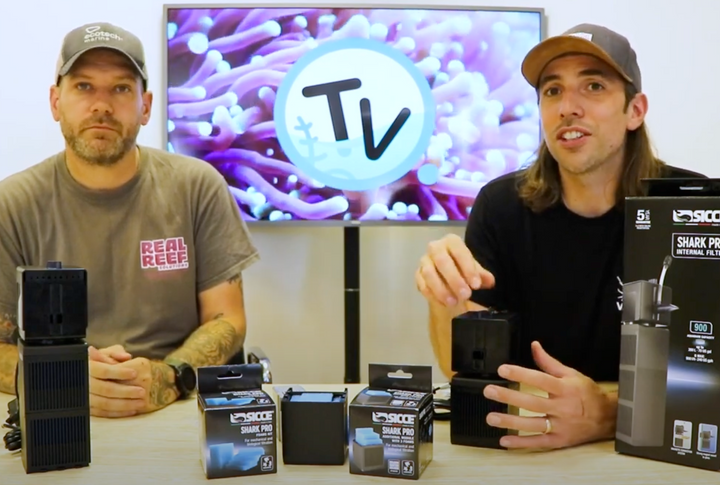 Your new favourite filter? Introducing the Sicce Shark Pro - Charterhouse TV