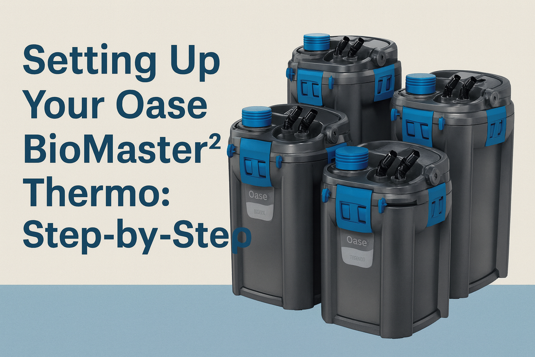 Setting Up Your Oase BioMaster² Thermo: Step-by-Step