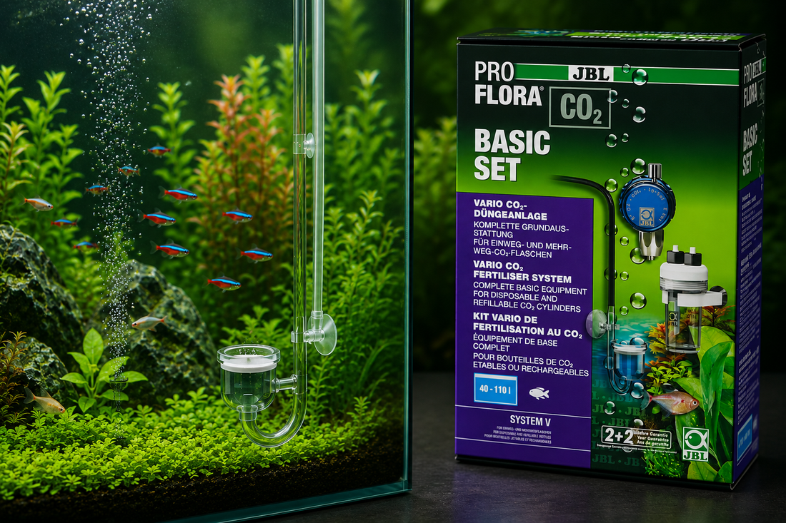 The Beginner’s Guide to CO₂ Systems for Planted Aquariums